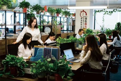 河南全占商務(wù)信息咨詢 企業(yè)發(fā)展的智慧伙伴