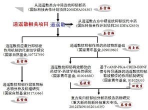 歡迎登錄山西大學(xué)中醫(yī)藥現(xiàn)代研究中心網(wǎng)站